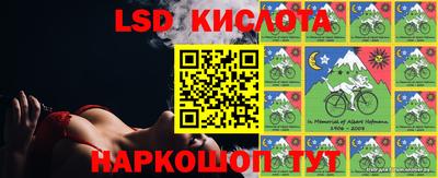 стаф Будённовск