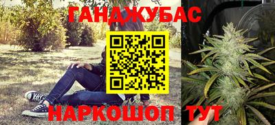 стаф Будённовск