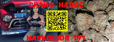 стаф Будённовск