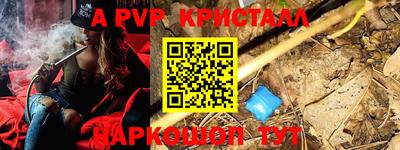 стаф Будённовск