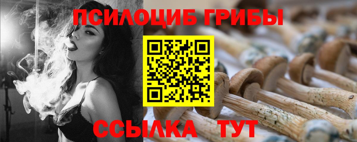 Псилоцибиновые грибы MAGIC MUSHROOMS Коркино